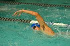 Swimming vs Bentley  Wheaton College Swimming & Diving vs Bentley College. - Photo by Keith Nordstrom : Wheaton, Swimming & Diving